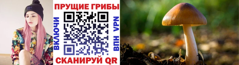 Галлюциногенные грибы ЛСД  Сухиничи 